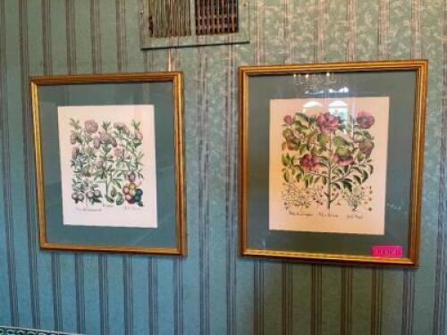 (6) ASSORTED FLORAL PRINTS WITH FRAMES