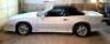 1991 Chevrolet Camaro Passenger Car, VIN # 1G1FP33E5ML194598