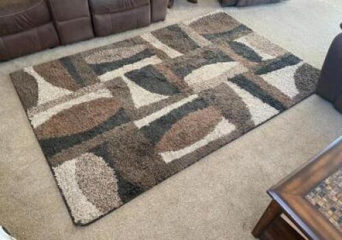 DESCRIPTION: SHAG AREA RUG SIZE: 60"X90" LOCATION: HOUSE #2 LOCATION: 6521 WOODLAND DRIVE CEDAR HILL, MO 63016 QTY: 1