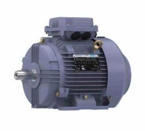 DESCRIPTION: (1) METRIC MOTOR BRAND/MODEL: MARATHON/TCA0042AE211GAA009 INFORMATION: 3-PHASE/LOW VOLTAGE/HP: 5-1/2 RETAIL$: 1,827.00 SIZE: 15.7"LENGTH