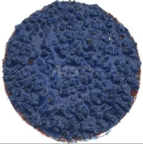 DESCRIPTION: (2) PACKS OF (100) QUICK CHANGE DISC BRAND/MODEL: TRU-MAXX/69957323738 INFORMATION: ZIRCONIA ALUMINA/BLUE/GRIT: 26 RETAIL$: 62.17 PER PK