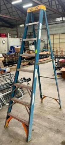 DESCRIPTION: 10' FIBERGLASS STEP LADDER BRAND/MODEL: WERNER INFORMATION: 250 LB. CAPACITY QTY: 1