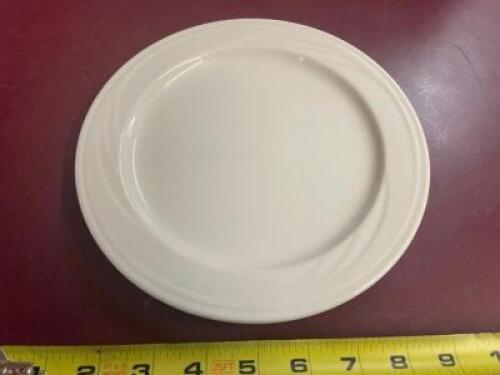 (60) 9" CHINA PLATES