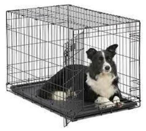 NAME: Midwest iCrate Single Door Folding Dog Crate, 36" L X 23" W X 25" H