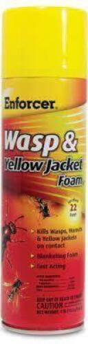 (6) WASP AND YELLOW JACKET FOAM