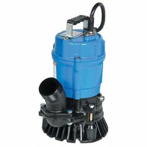 (1) PLUG-IN UTILITY PUMP