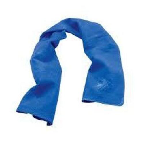 DESCRIPTION: (10) EVAPORATIVE COOLING TOWEL BRAND/MODEL: ERGODYNE/6602 INFORMATION: BLUE/MUST COME INTO INSPECT RETAIL$: 68.16 PER LOT SIZE: 13" X 29.