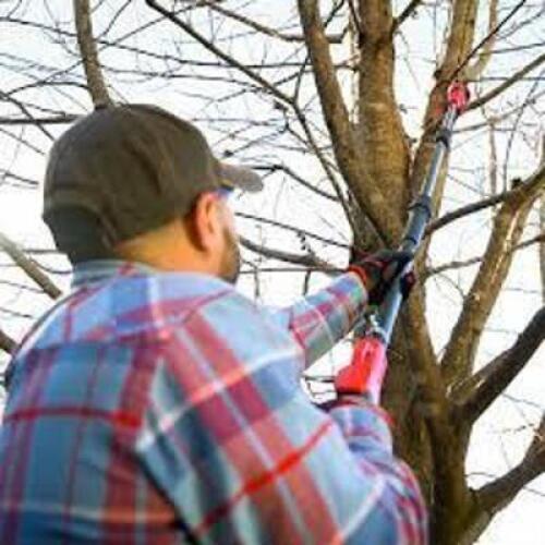 DESCRIPTION: (1) CORDLESS POLE SAW BRAND/MODEL: HYPER TOUGH #HT21-401-003-08 RETAIL$: $105.00 EA SIZE: 7.5-9.5 TELESCOPIC RANGE QTY: 1