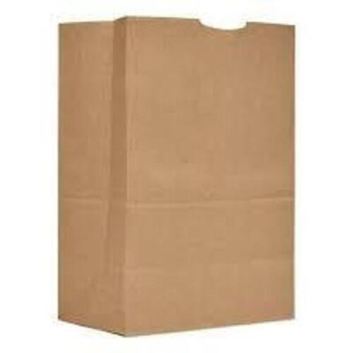 DESCRIPTION (2) CASE OF (500) GROCERY BAGS PAPER BRAND/MODEL GEN-PAK CORP #80076 ADDITIONAL INFORMATION RETAILS FOR $80.00 SIZE 12X7X17 THIS LOT IS SO