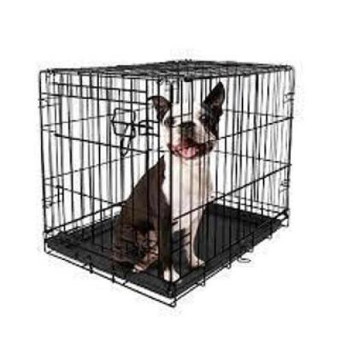 DESCRIPTION: (1) ONE DOOR DOG TRAINING CRATE BRAND/MODEL: VIBRANT LIFE RETAIL$: $32.00 EA SIZE: 48X29X31 QTY: 1