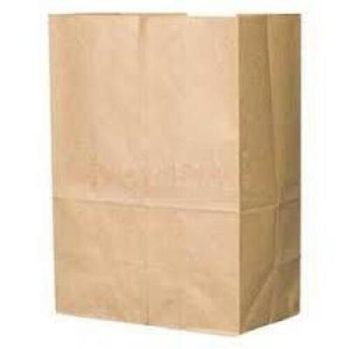 DESCRIPTION (1) CASE OF APORX (500) PAPER BAGS BRAND/MODEL DUR #80076 ADDITIONAL INFORMATION RETAILS FOR $69.88 SIZE 12X7X17 THIS LOT IS ONE MONEY QTY