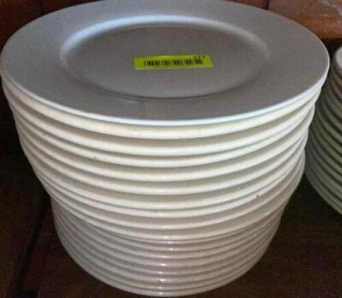 (18) 10 3/4" CHINA PLATES