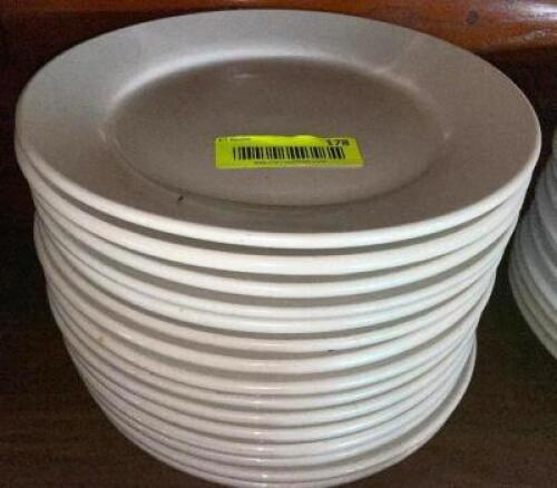 (15) 9.5" CHINA PLATES