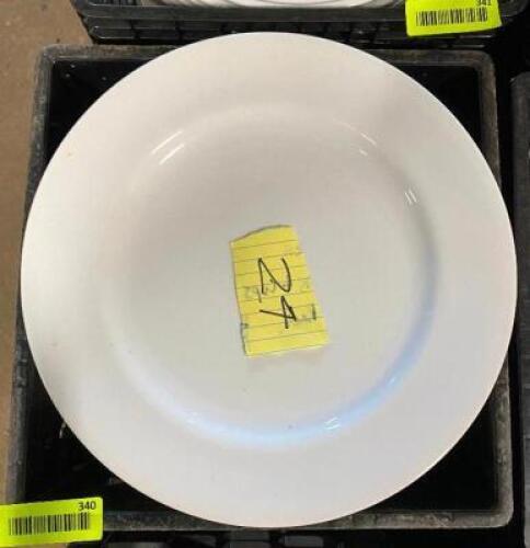 (24) CERAMIC 8" PLATES