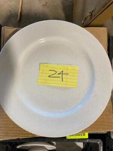 (24) CERAMIC 8" PLATES