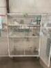 48" X 30" X 70" STEEL SECURITY STORAGE CART ON CASTERS - 5