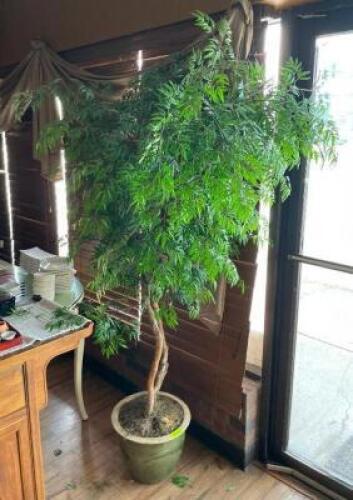 DESCRIPTION: FAUX TREE WITH PLANTER QTY: 1
