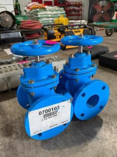 (2) - 405 NRS CAST IRON GATE VALVES