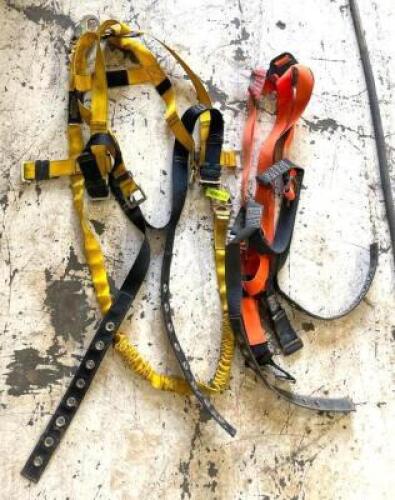 DESCRIPTION: (2) BODY HARNESSES QTY: 2