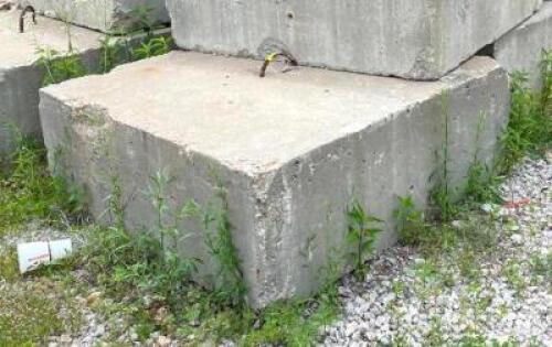DESCRIPTION: (17) 48" X 48" CEMENT ANCHOR BLOCK SIZE: 48" X 48" X 24" LOCATION: SPACE CENTER LOT QTY: 17