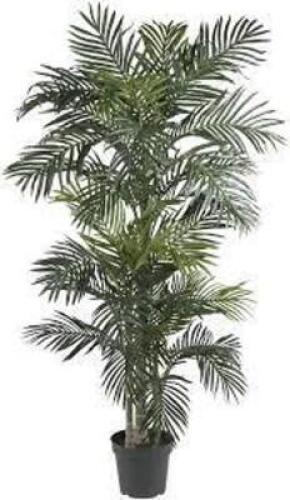 DESCRIPTION: (1) GOLDEN CANE PALM TREE - ARTIFICIAL BRAND/MODEL: NEARLY NATURAL #5289-MB INFORMATION: GREEN RETAIL$: $129.35 EA SIZE: 6.5' QTY: 1