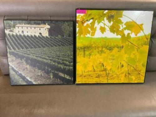 DESCRIPTION: (2) ASSORTED FRAMED PRINTS LOCATION: BAY 6 THIS LOT IS: ONE MONEY QTY: 1