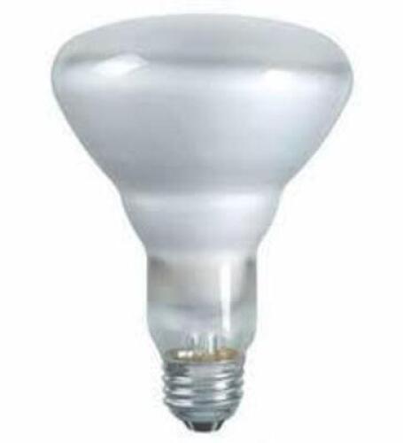 DESCRIPTION: (2) WATERPROOF, SAFETY-COATED LED LIGHT BULB BRAND/MODEL: SHAT-R-SHIELD RETAIL$: $12.29 EA SIZE: 17 WATTS, 120V QTY: 2