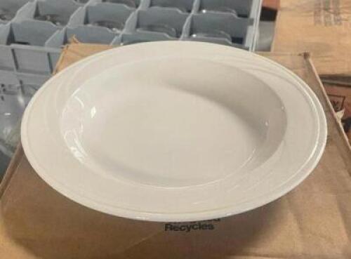 (12) - DINNER PLATES