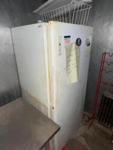 ELECTROLUX UPRIGHT COMMERCIAL FREEZER.
