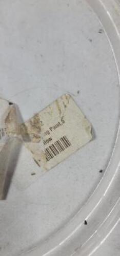 DESCRIPTION: (1) MISTERY BUCKET OF PAINT SIZE: 5 GALLON QTY: 1