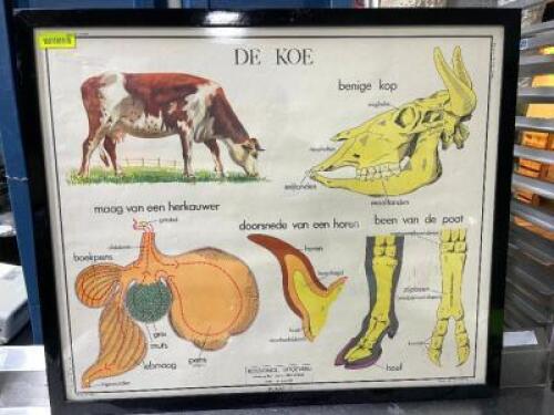 DESCRIPTION: 48" X 36" FRAMED PRINT SIZE 36" X 48" LOCATION: AREA #1 QTY: 1