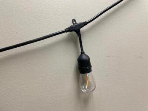20' STRING LIGHT