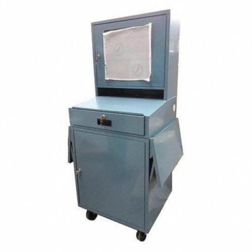 DESCRIPTION: (1) MOBILE COMPUTER CABINET BRAND/MODEL: PRODUCT NUMBER #462D24 RETAIL$: $890.83 EA SIZE: 24 1/2 IN X 22 1/2 IN X 62 3/4 IN, 1 DRAWERS, 1