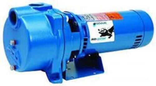 DESCRIPTION: (1) SELF PRIMING END SUCTION PUMP BRAND/MODEL: GOULDS WATER TECHNOLOGY - IRRI-GATOR #1N439 INFORMATION: BLUE RETAIL$: $985.16 EA QTY: 1