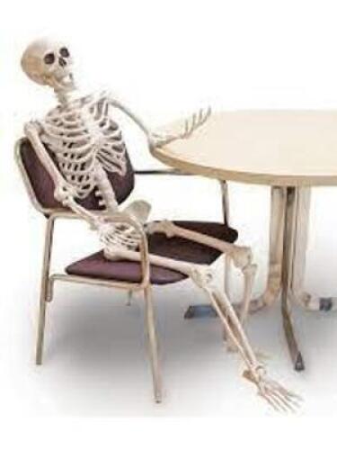 DESCRIPTION: (1) POSABLE SKELETON BRAND/MODEL: FORM NOVELTIES #F77622 RETAIL$: $50.00 EA SIZE: 60 " QTY: 1