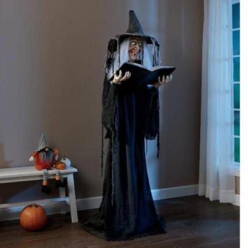 DESCRIPTION Life Size 6ft Standing Witch with Lights and Sounds CONDITION Appears New - Inspected Good - In Box - Retail - $109.99 ADDITIONAL INFO "Co