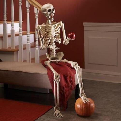 DESCRIPTION Flexible Life Size Creepy Skeleton CONDITION Brand New - In Box - Orig Retail - $79.95 ADDITIONAL INFO Ready to strike a pose wherever you
