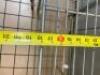 4-TIER WIRE SHELVING UNIT - 4