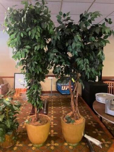 (2) 72" FAUX FICHUS TREES W/ CERAMIC PLANTERS VASES.