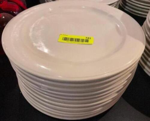 (12) 10.5" CHINA PLATES