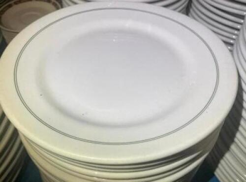 (20) 9.5" CHINA PLATES