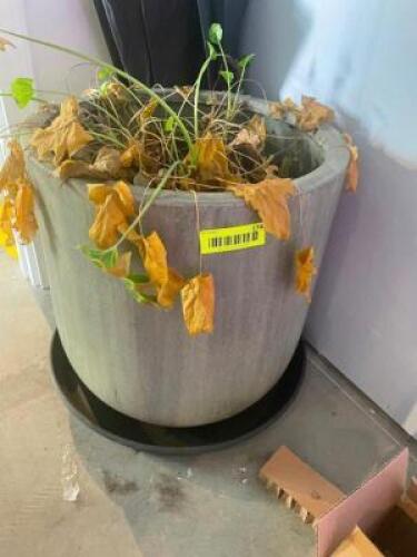 12" STONE PLANTER