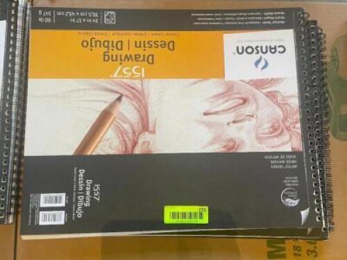 (2) CANSON 1557 DRAWING AND DESIGN PADS