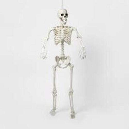DESCRIPTION: (1) HALLOWEEN DECORATION BRAND/MODEL: LIFE SIZED POSABLE SKELETON RETAIL$: $60.00 EA SIZE: 60 IN QTY: 1