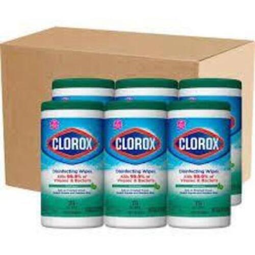(6) PACKS OF DISINFECTING WIPES