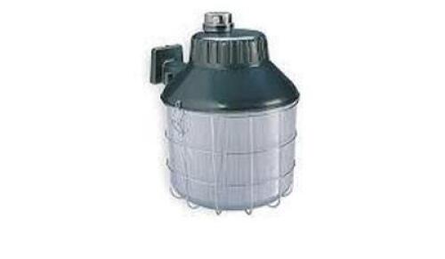 DESCRIPTION: (2) HIGH PRESSURE SODIUM SECURITY LIGHT BRAND/MODEL: LUMAPRO RETAIL$: $100.00 EA SIZE: 150 WATT QTY: 2