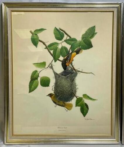 RICHARD SLOAN "BALTIMORE ORIOLE" SIGNED PRINT PLATE - FRAMED