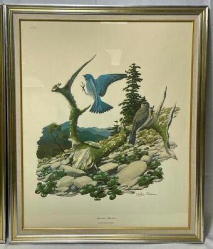 RICHARD SLOAN "MOUNTAIN BLUEBIRD" SIGNED PRINT PLATE - FRAMED