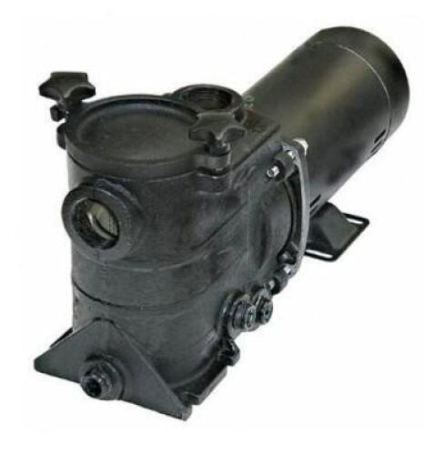 (1) DAYTON SWIMMING POOL PUMP