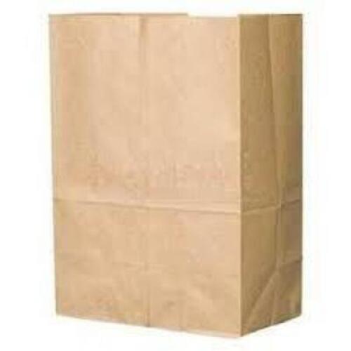 (1) PACK OF (500) PAPER BAGS